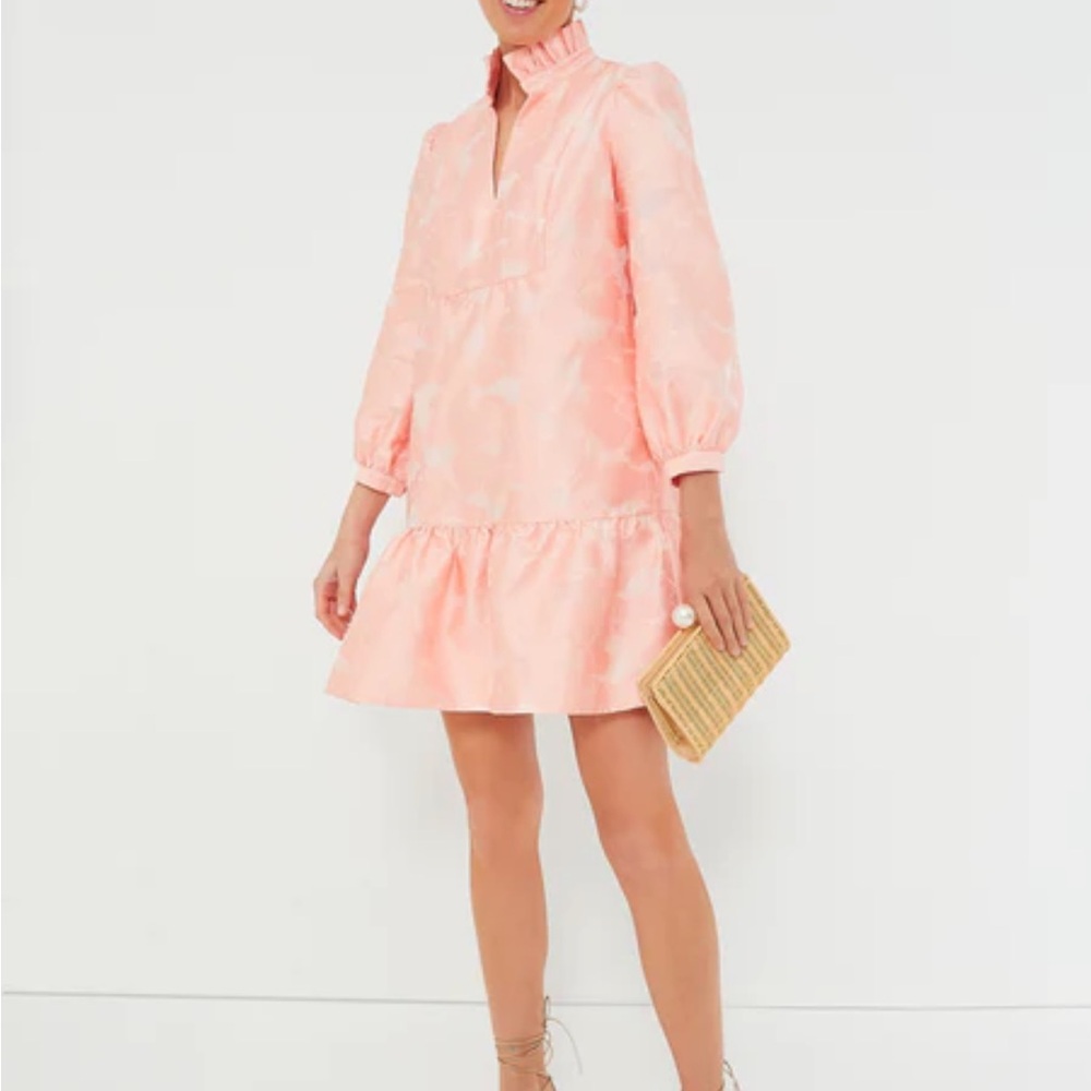 Tuckernuck Pink Ruffle Dress - Picture 3 of 6